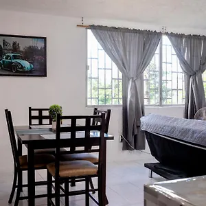 Palenque Cancún